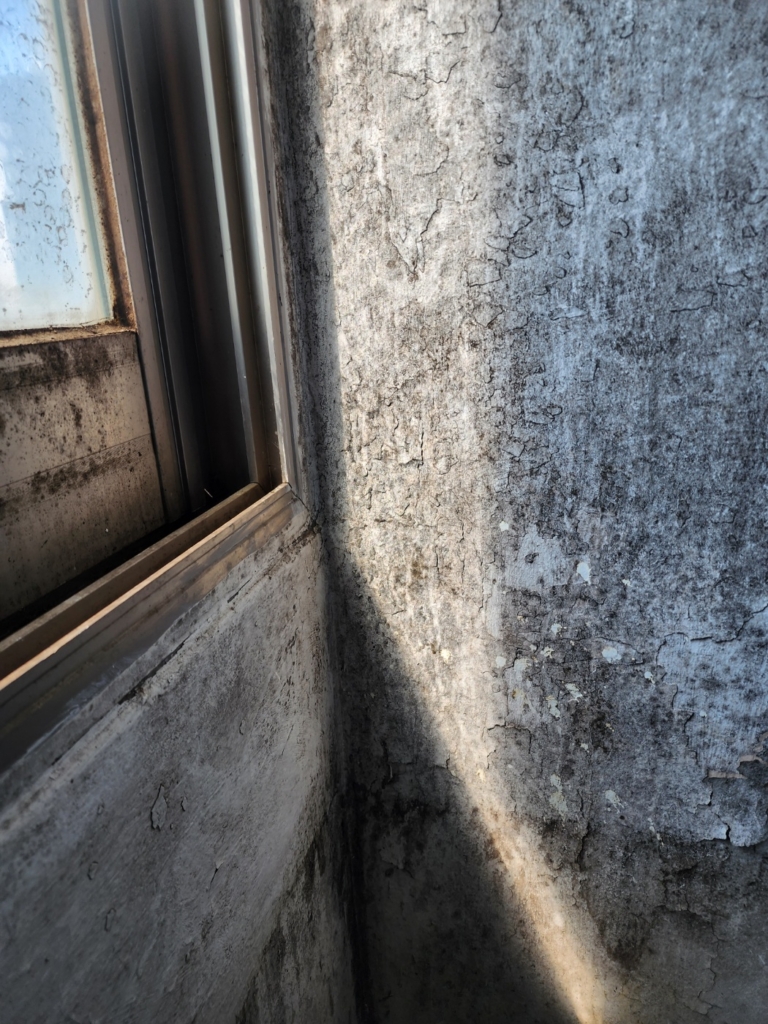 KakaoTalk_20250428_122318125_27