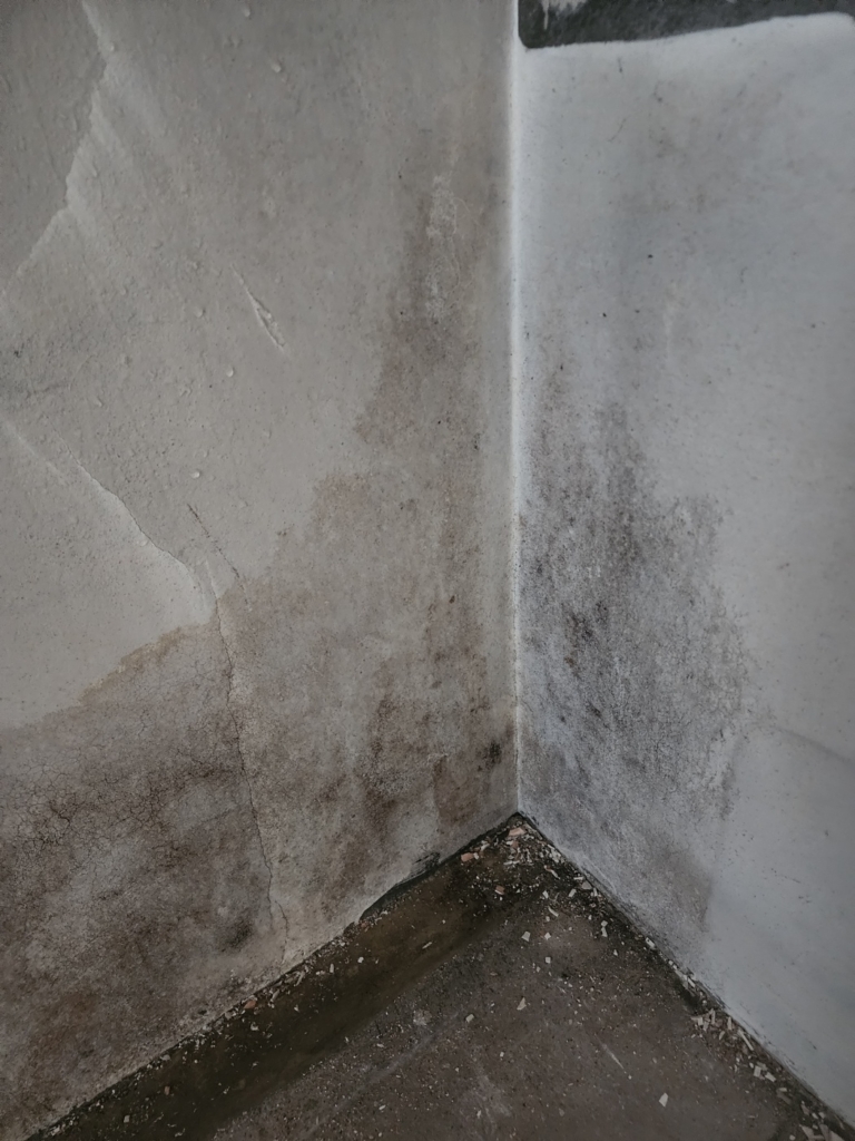 KakaoTalk_20250428_122449170_03