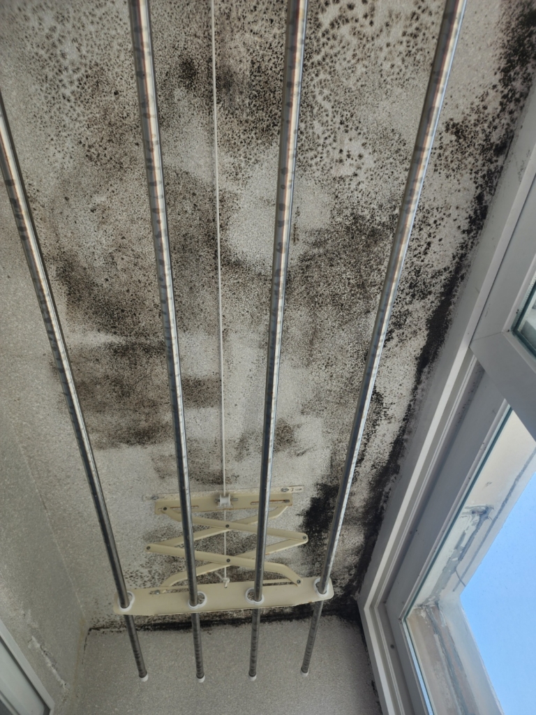 KakaoTalk_20250510_104139289_21