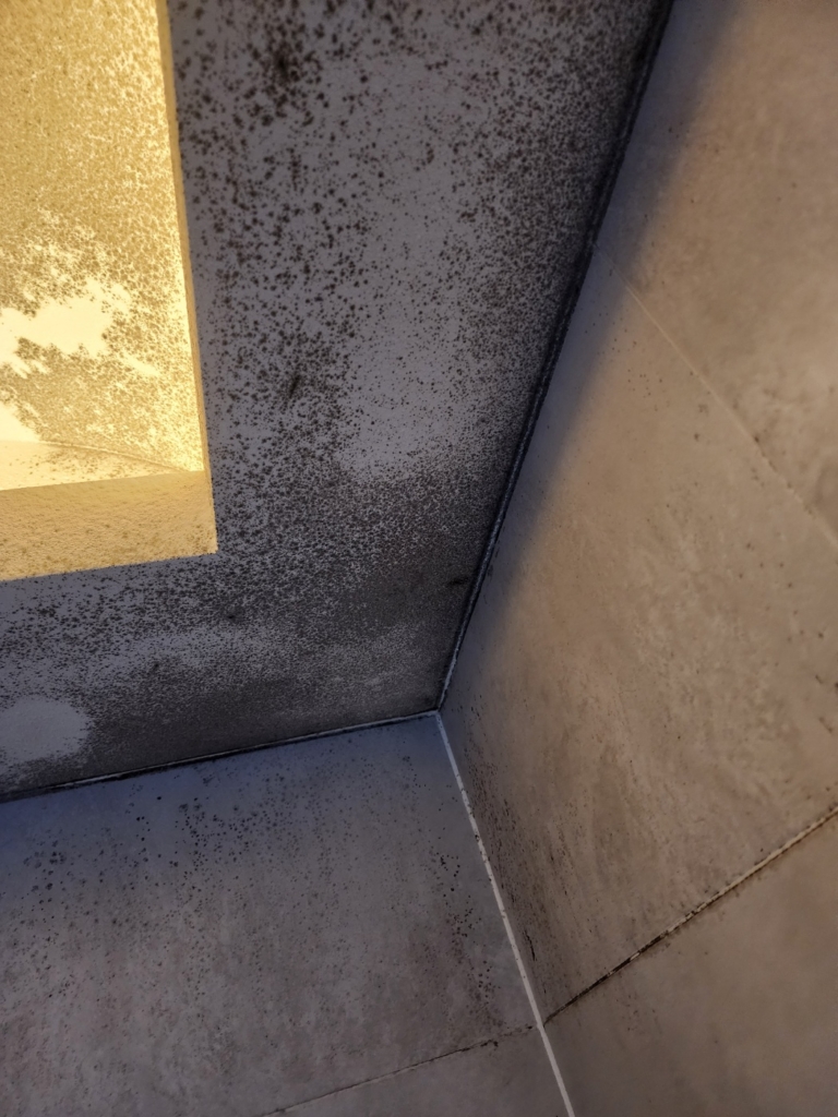 KakaoTalk_20250701_165907970_19