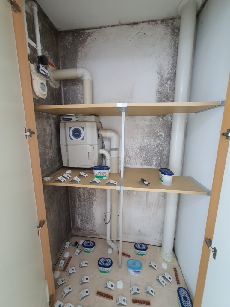 KakaoTalk_20250729_163058732