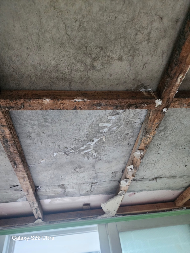 KakaoTalk_20250731_154121587_14