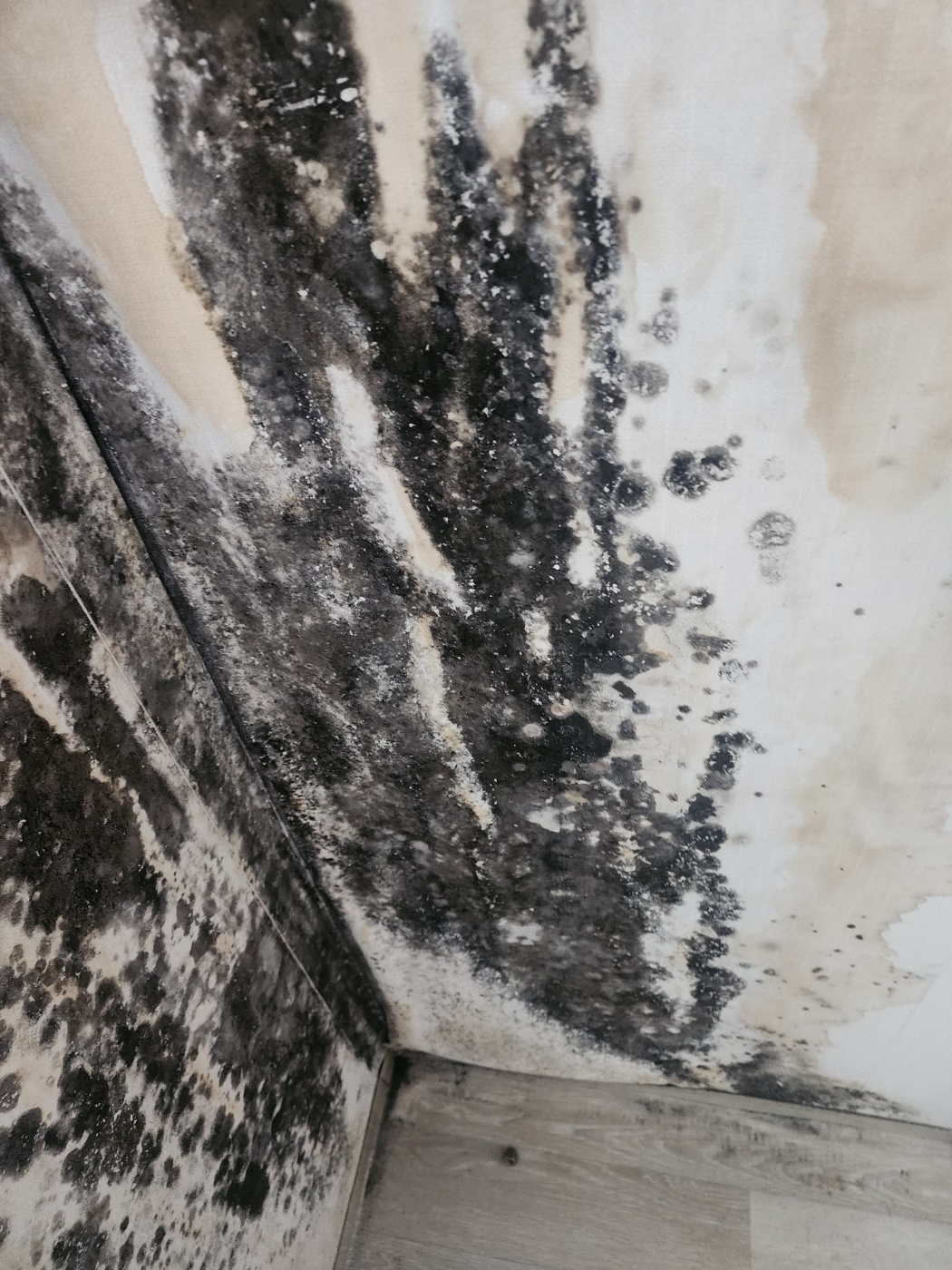 KakaoTalk_20250701_164119552_28