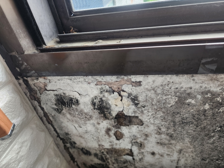 KakaoTalk_20250701_164531882_15