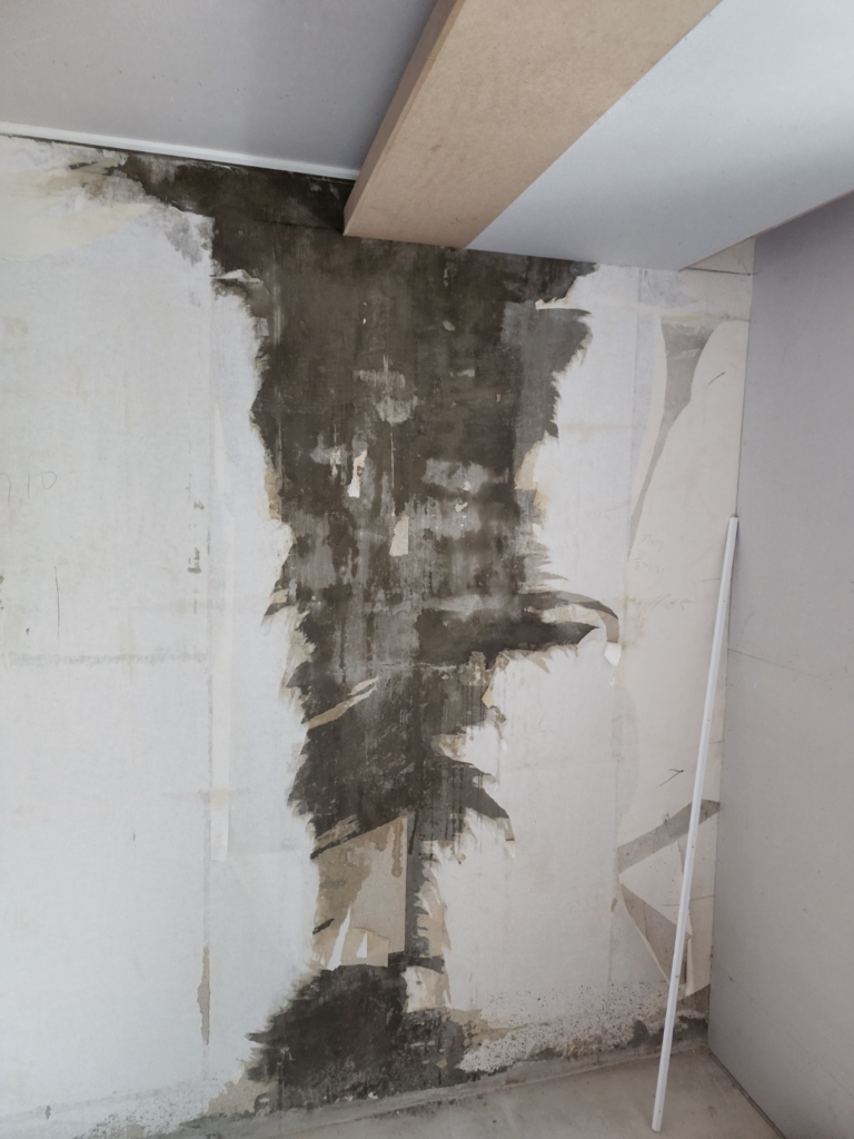 KakaoTalk_20250715_172743023_13