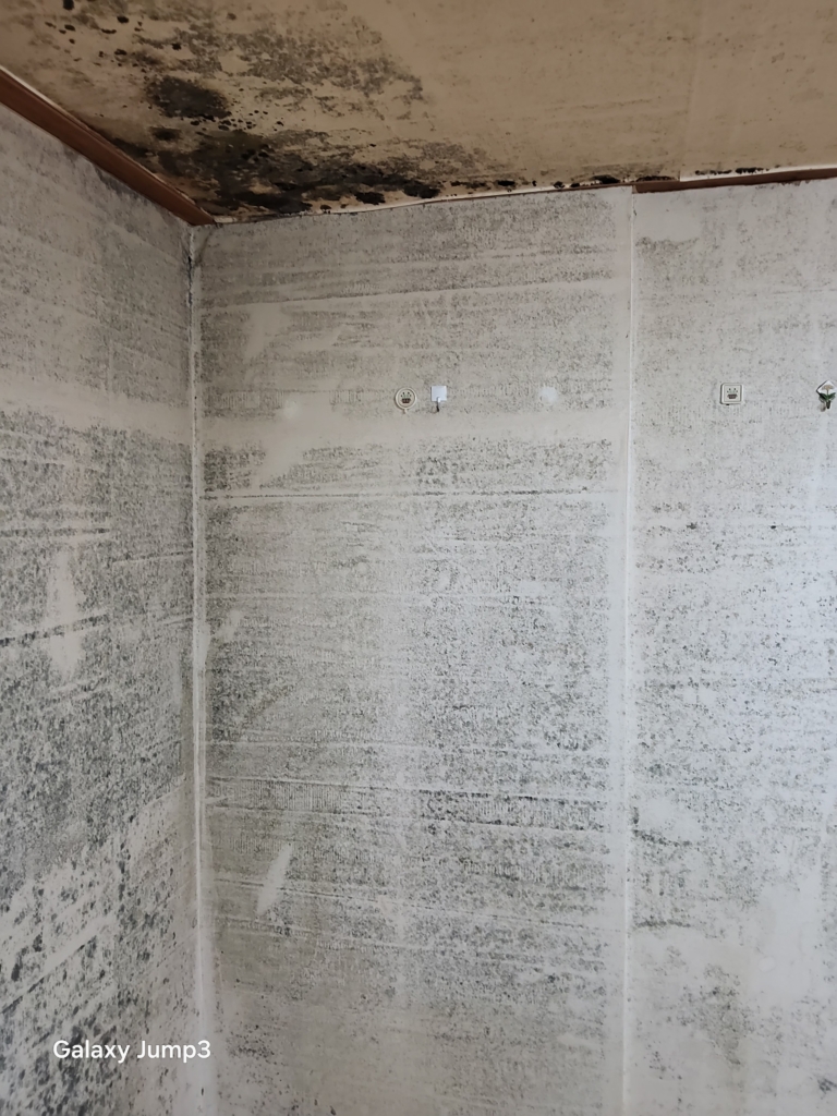 KakaoTalk_20250811_105709966_21