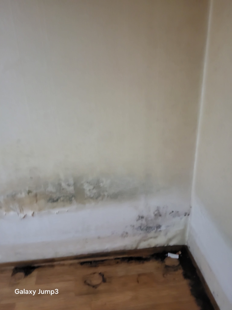 KakaoTalk_20250811_105713846_09