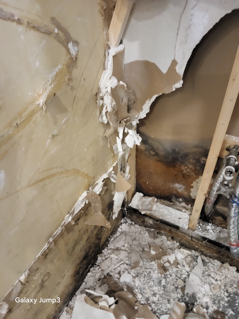 KakaoTalk_20250828_164805098_15