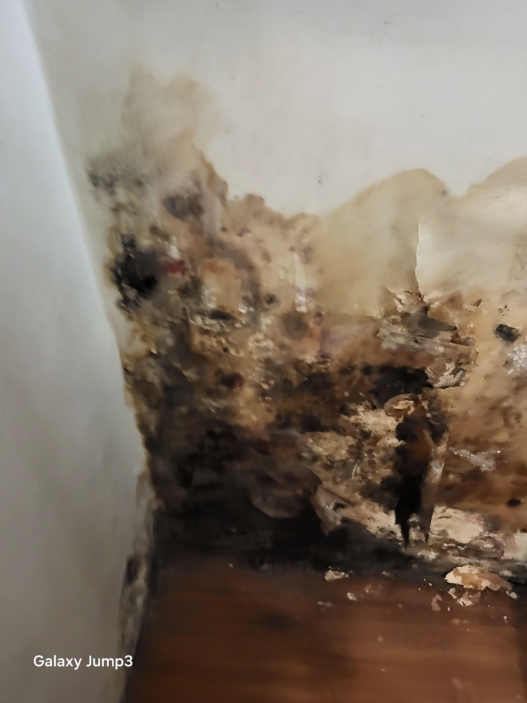 KakaoTalk_20250828_164805098_27