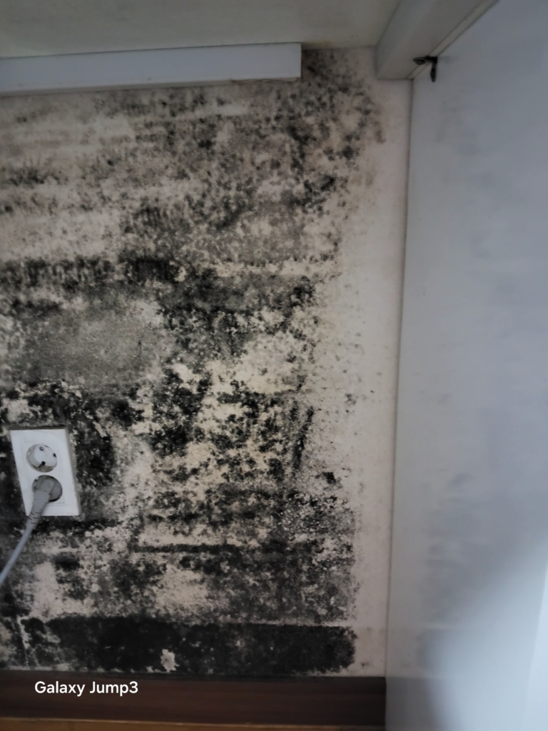 KakaoTalk_20250828_163845327_27