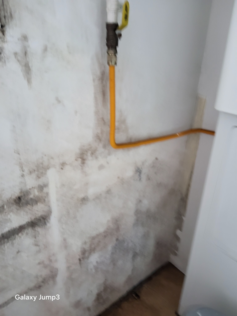 KakaoTalk_20250903_172424934_15