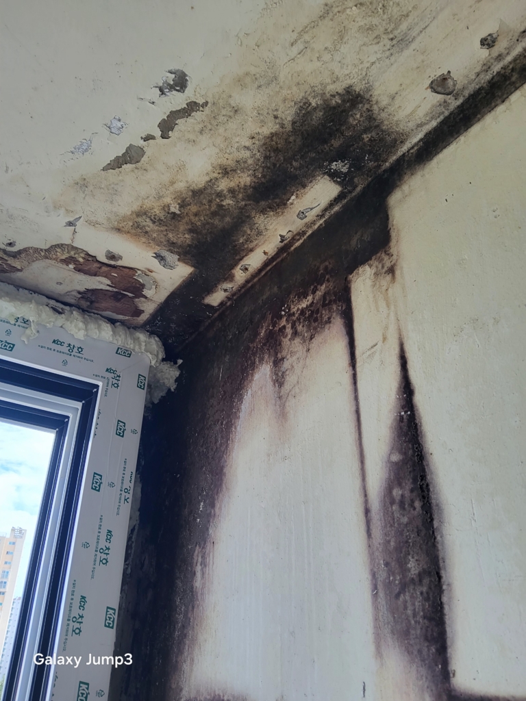 KakaoTalk_20250920_151931878_01