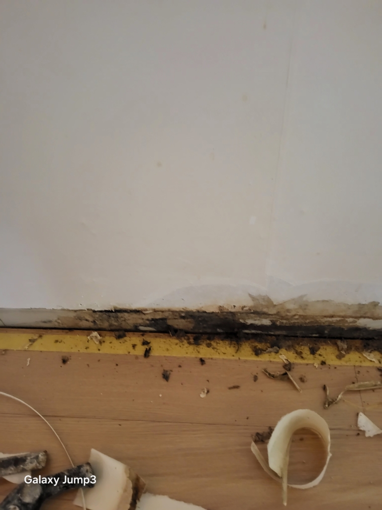 KakaoTalk_20250920_152649204_08