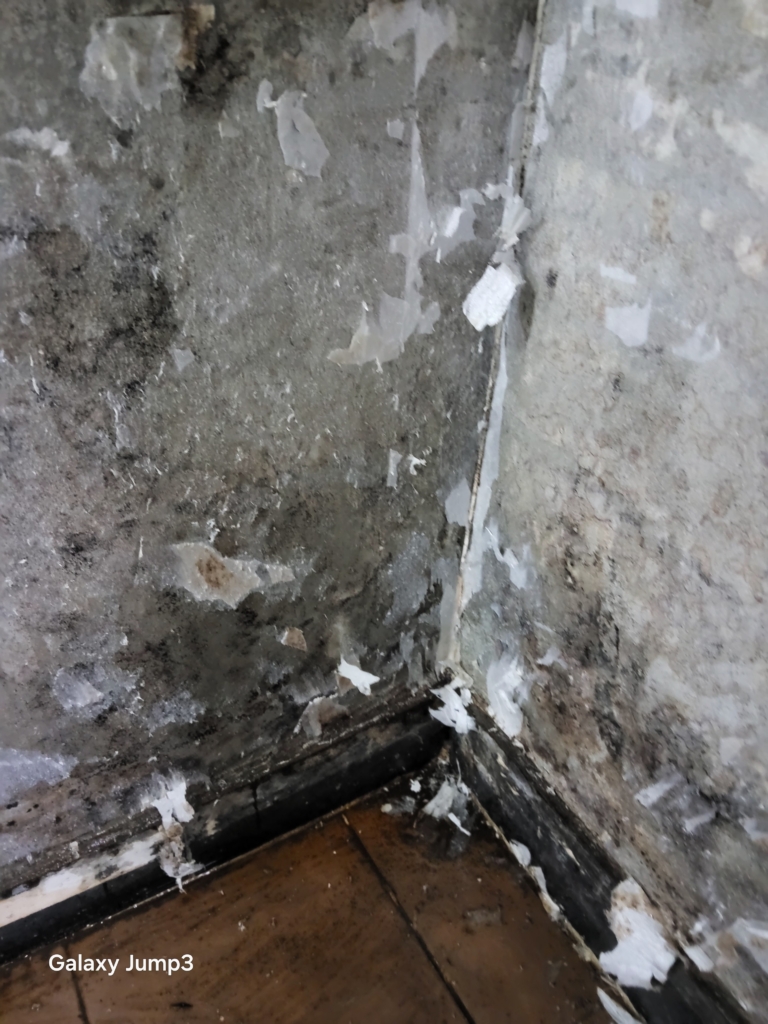 KakaoTalk_20251024_085501231_09