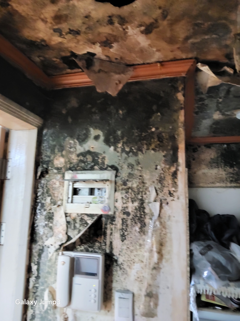 KakaoTalk_20251103_182907024_29