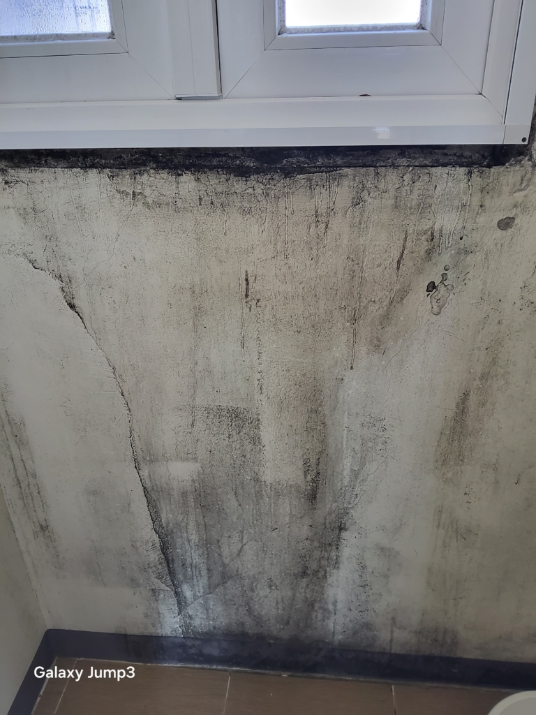 KakaoTalk_20251215_174742892_02