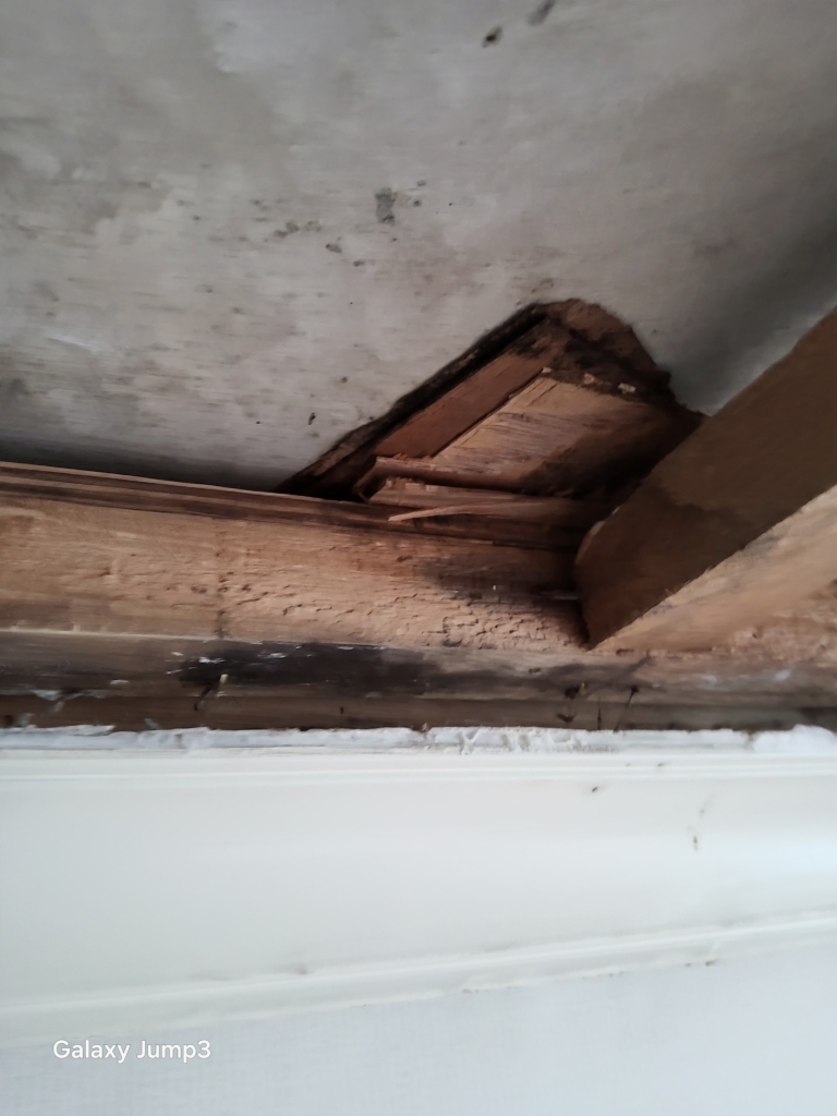 KakaoTalk_20251215_175228635_05