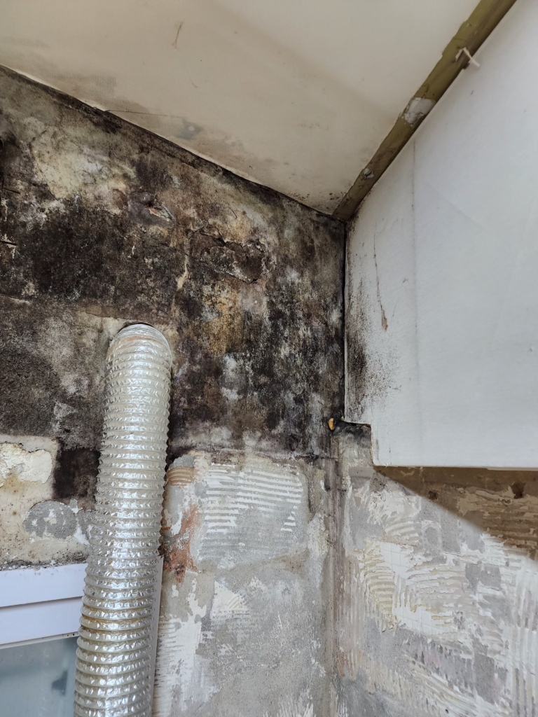 KakaoTalk_20251222_134521584_24