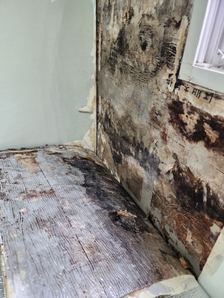 KakaoTalk_20251222_134733601_02