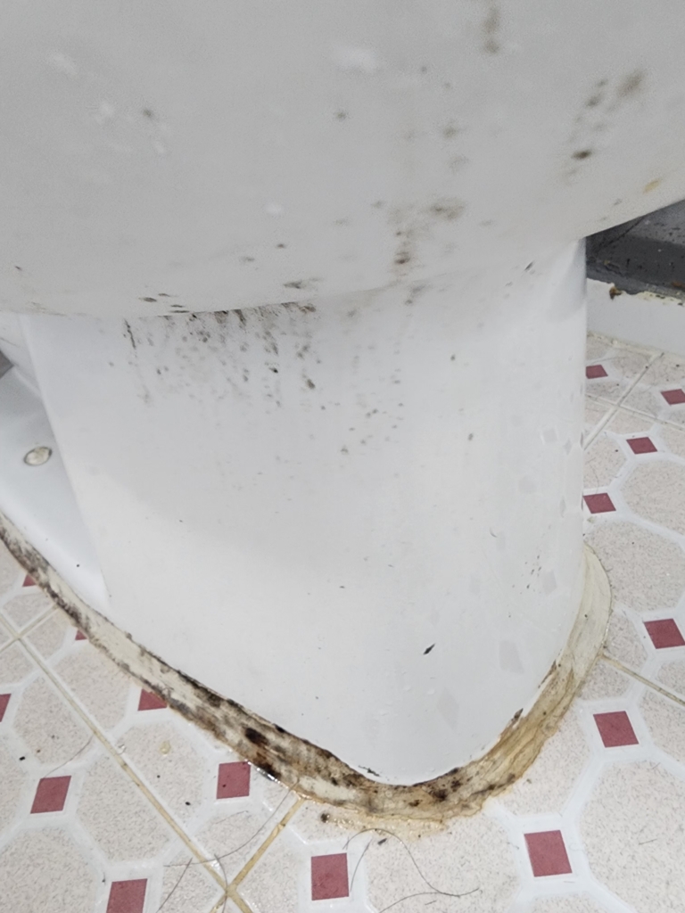 KakaoTalk_20260121_174826926_02