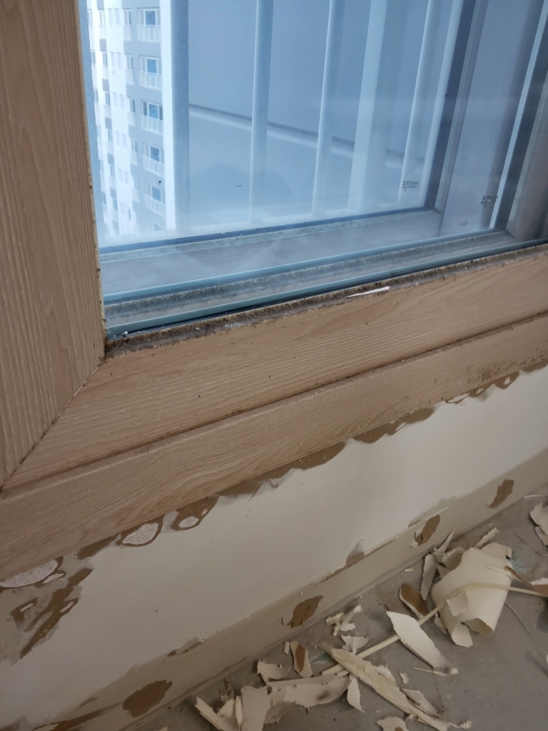 KakaoTalk_20260205_155653412_05