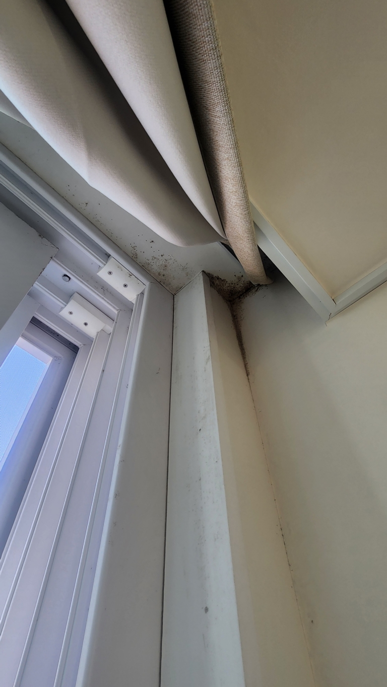 KakaoTalk_20260223_151111713