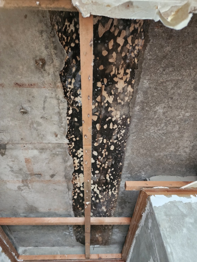 KakaoTalk_20260413_152221702_22